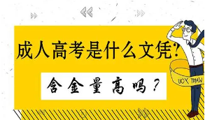 2021年成人高考哪些專(zhuān)業(yè)對(duì)口公務(wù)員考試呢？