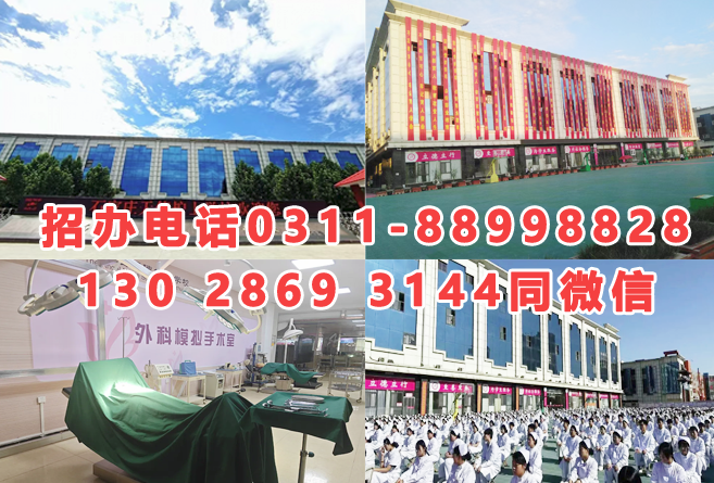 石家莊天使護(hù)士學(xué)校2025年秋季招生簡章