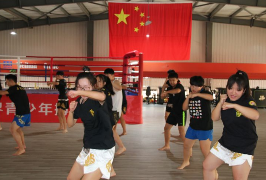 石家莊開設體育專業(yè)、武術專業(yè)的學校
